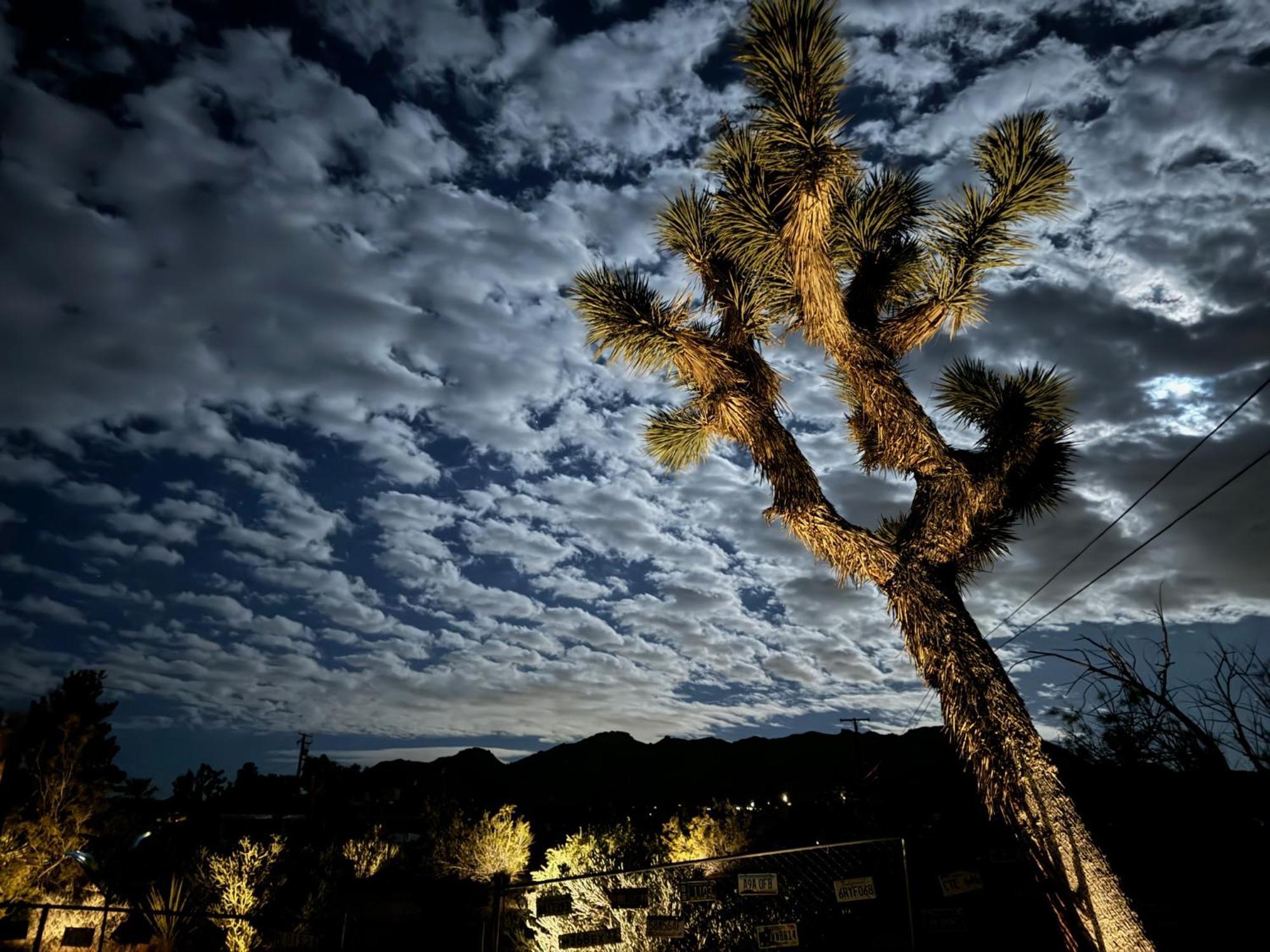 Float Pool, Hot Tub, Sauna, Views, Telescope-Skywatchers Haven Joshua Tree Dış mekan fotoğraf