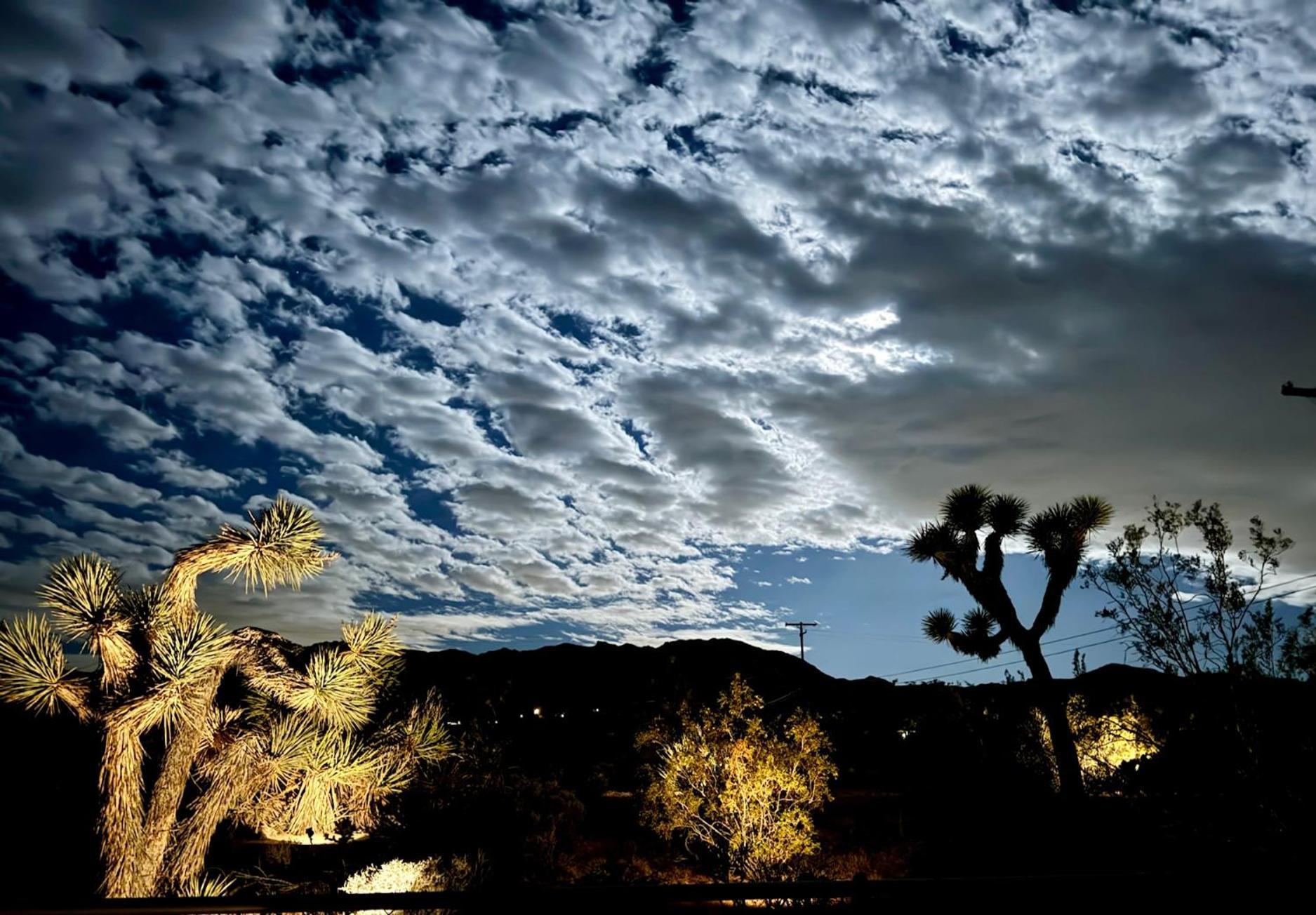 Float Pool, Hot Tub, Sauna, Views, Telescope-Skywatchers Haven Joshua Tree Dış mekan fotoğraf